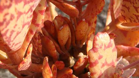 1231 (5).JPG 1231 (5).JPG