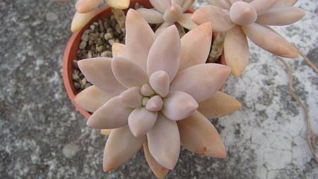 0209 (2).JPG 0209 (2).JPG