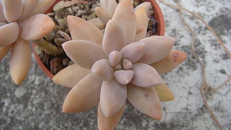 0209 (3).JPG 0209 (3).JPG