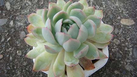 0209 (4).JPG 0209 (4).JPG