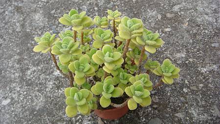 0209 (5).JPG 0209 (5).JPG