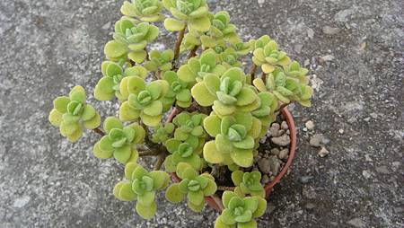 0209 (6).JPG 0209 (6).JPG