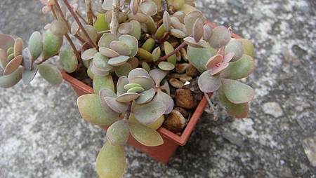 0209 (9).JPG 0209 (9).JPG