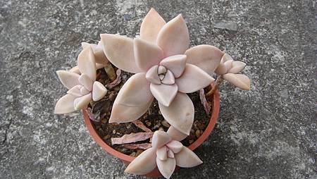 0209 (10).JPG 0209 (10).JPG