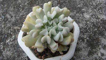 0209 (13).JPG 0209 (13).JPG