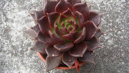 0209 (14).JPG 0209 (14).JPG