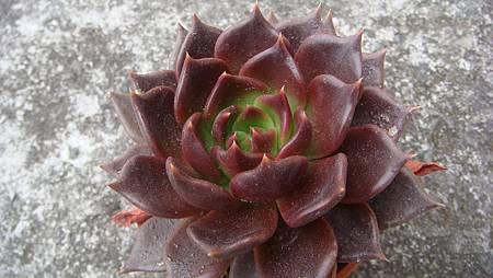 0209 (16).JPG 0209 (16).JPG