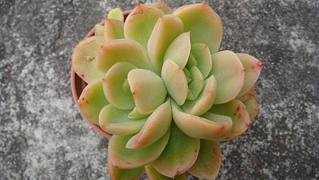 0209 (17).JPG 0209 (17).JPG