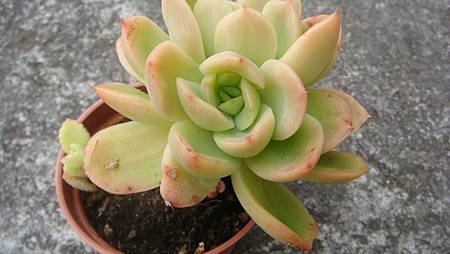 0209 (18).JPG 0209 (18).JPG