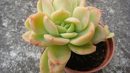 0209 (19).JPG 0209 (19).JPG