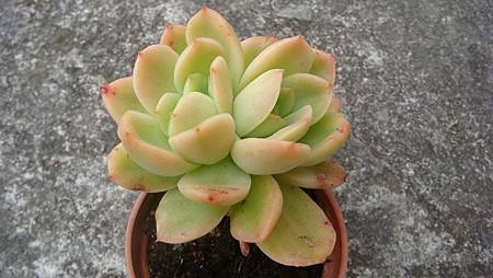 0209 (20).JPG 0209 (20).JPG