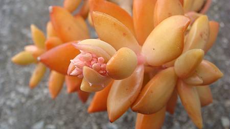 0209 (21).JPG 0209 (21).JPG