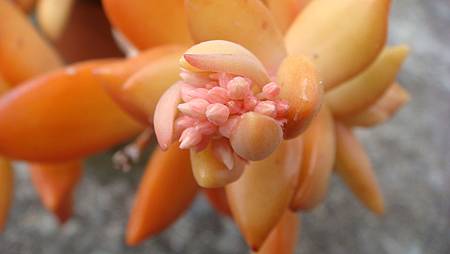 0209 (22).JPG 0209 (22).JPG