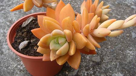 0209 (23).JPG 0209 (23).JPG