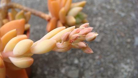 0209 (24).JPG 0209 (24).JPG