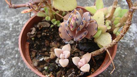 0209 (26).JPG 0209 (26).JPG