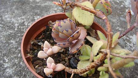 0209 (27).JPG 0209 (27).JPG