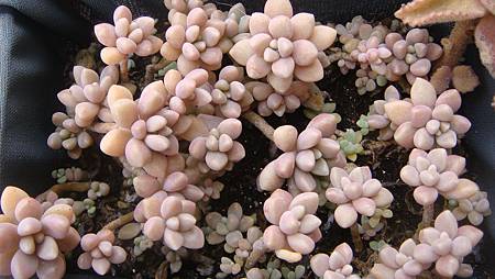 0209 (32).JPG 0209 (32).JPG