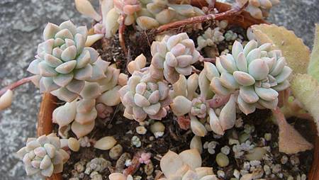 0209 (33).JPG 0209 (33).JPG