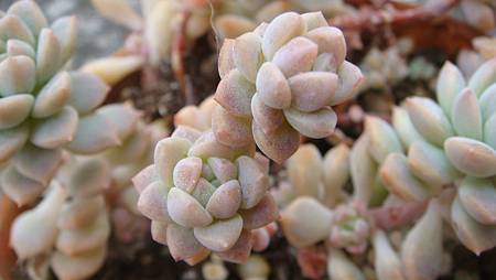 0209 (35).JPG 0209 (35).JPG