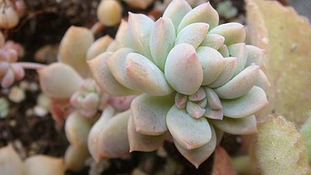 0209 (36).JPG 0209 (36).JPG