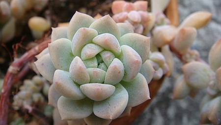 0209 (37).JPG 0209 (37).JPG