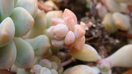 0209 (38).JPG 0209 (38).JPG