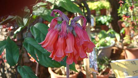 DSC02651.JPG DSC02651.JPG