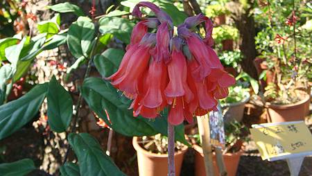 DSC02652.JPG DSC02652.JPG