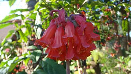 DSC02654.JPG DSC02654.JPG