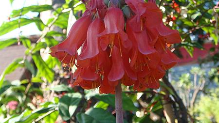 DSC02655.JPG DSC02655.JPG