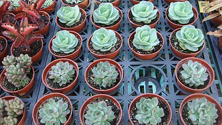 DSC02657.JPG DSC02657.JPG