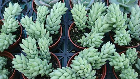 DSC02664.JPG DSC02664.JPG