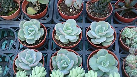 DSC02665.JPG DSC02665.JPG