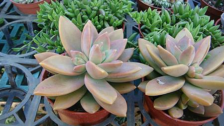 DSC02669.JPG DSC02669.JPG