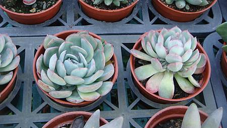 DSC02679.JPG DSC02679.JPG