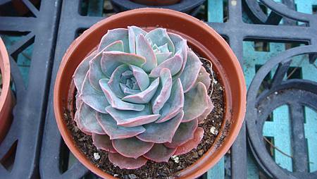 DSC02692.JPG DSC02692.JPG