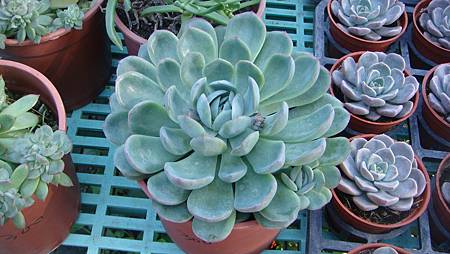 DSC02697.JPG DSC02697.JPG