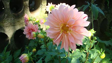 DSC02701.JPG DSC02701.JPG