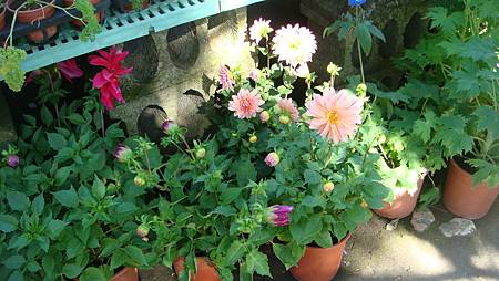 DSC02705.JPG DSC02705.JPG