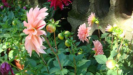 DSC02707.JPG DSC02707.JPG