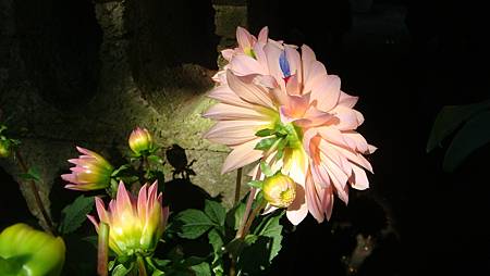 DSC02709.JPG DSC02709.JPG