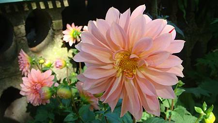 DSC02710.JPG DSC02710.JPG