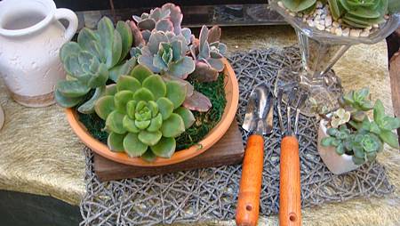 DSC02727.JPG DSC02727.JPG