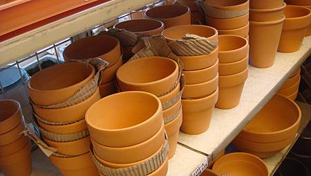 DSC02731.JPG DSC02731.JPG