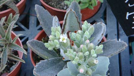 DSC02739.JPG DSC02739.JPG