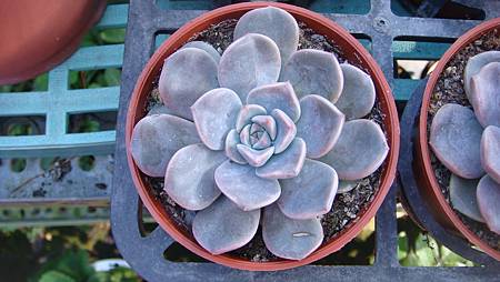 DSC02696.JPG DSC02696.JPG