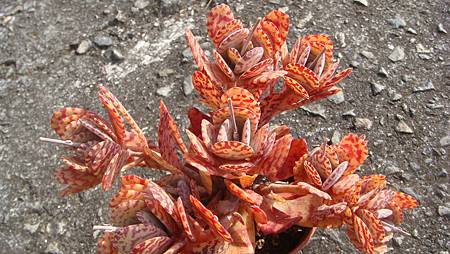 0216 (5).JPG 0216 (5).JPG