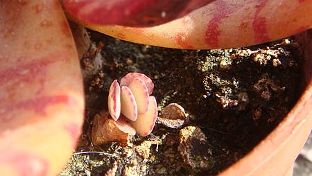 0216 (6).JPG 0216 (6).JPG