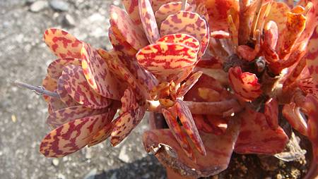 0216 (8).JPG 0216 (8).JPG